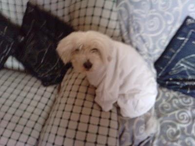 A CARPI LE ECHAN DE SU HOGAR.