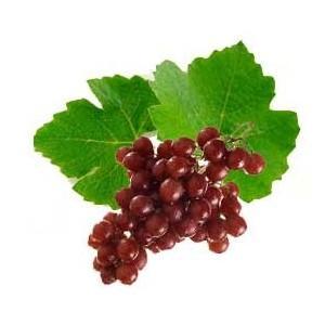 vid-roja-eco Cúrate con las plantas: la vid roja