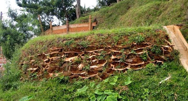 ic Muros vegetales, de contención