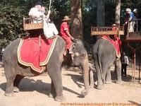 Siem Reap, todo templos II