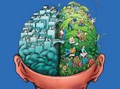 lado derecho cerebro