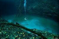 ¿Un río bajo el agua? El curioso cenote Angelita