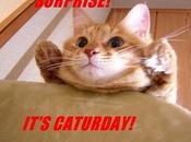 ¡Hoy Caturday!