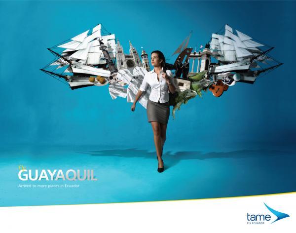 Volando voy, gráficas brutales de Tame Airlines