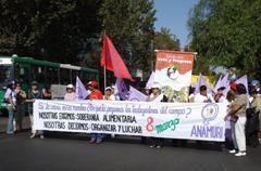 Mujeres en movilización por sus derechos