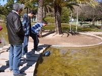 Entrenando la autorregulación