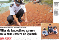 Misteriosas muertes masivas de animales en todo el mundo