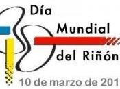 Mundial Riñón. Funciones riñón nuestro cuerpo