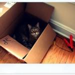 Y después de una mudanza…