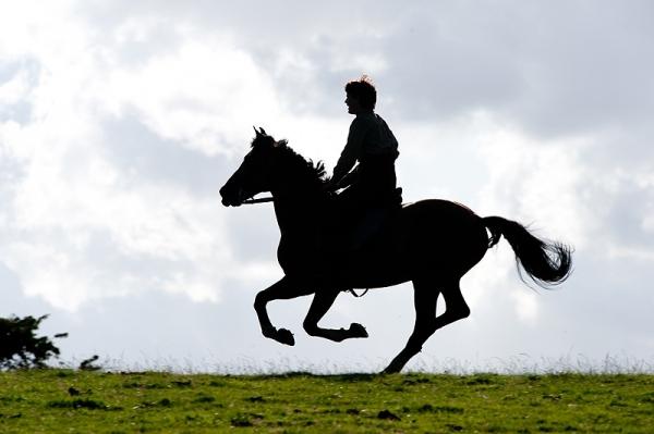 Imágenes de War Horse, de Steven Spielberg