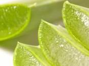 Tratar hemorroides remedios naturales