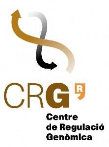 Hallan un mecanismo que puede ayudar contra el cancer