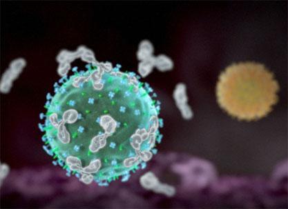 Simposio Internacional: Erradicación y control de las enfermedades producidas por virus