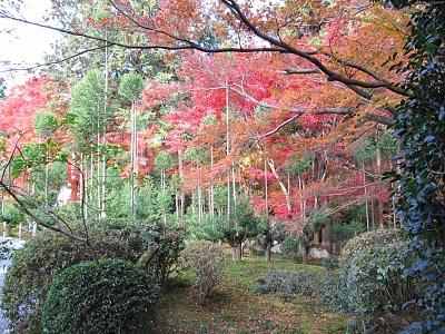 MI VIAJE A JAPON: KYOTO