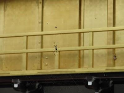 MI VIAJE A JAPON: KYOTO