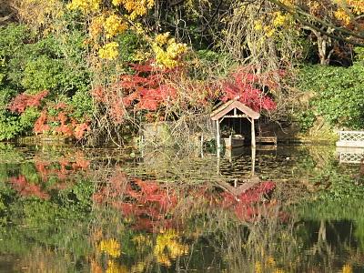 MI VIAJE A JAPON: KYOTO
