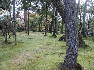 MI VIAJE A JAPON: KYOTO