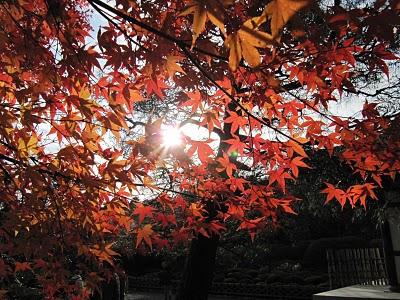 MI VIAJE A JAPON: KYOTO