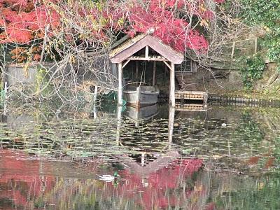 MI VIAJE A JAPON: KYOTO