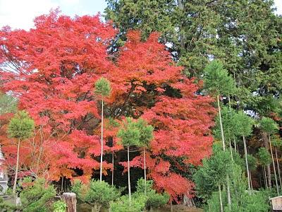 MI VIAJE A JAPON: KYOTO