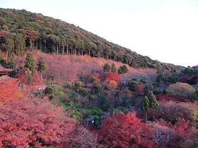 MI VIAJE A JAPON: KYOTO
