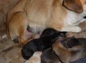 URGENTE!! (MURCIA) Madre bebes peligro!‏