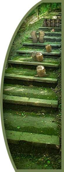 El camino del Gratis al Freemium