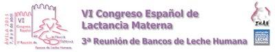 VI Congreso Español de Lactancia Materna, Ávila, 7, 8 y 9 abril 2011