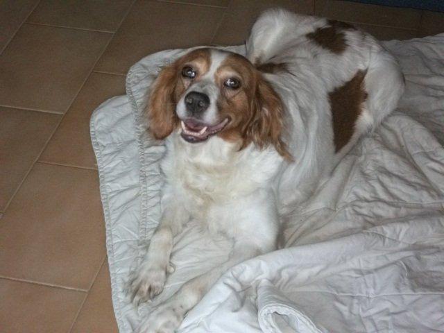 Historias de adoptados. Lynn