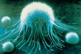 El cancer según matemáticos y físicos