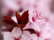 10.15 Saturday Night pueblo Japón