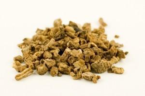 dong_quai_whole_800 Hierbas que te curan: la angélica china