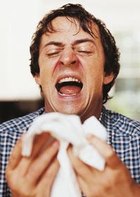 alergias_estornudo Alergias