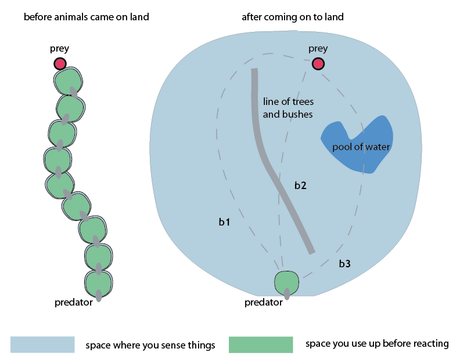 Why Did Consciousness Evolve, and How Can We Modify It?