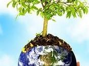 engalana Foresta Mundial