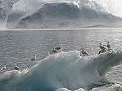 Polos deshacen rápido previsto