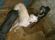 PODEMOS hacer "milagro"