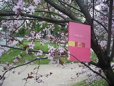 'La mujer de la arena' de Kôbô Abe