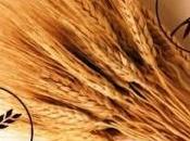 lactancia puede prevenir enfermedad celíaca