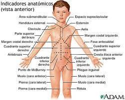 Sanofi-aventis presenta nuevo antiespasmódico de rápida acción