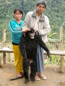 El mono que estornuda