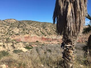 Nos vamos de excursión, embalse de Elche, trekking, senderismo, salida en familia, salida al campo, caminata,