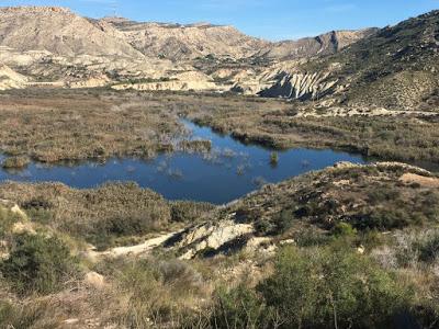 Nos vamos de excursión, embalse de Elche, trekking, senderismo, salida en familia, salida al campo, caminata,