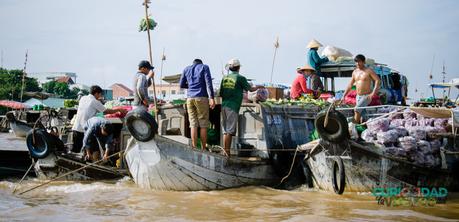 delta del mekong