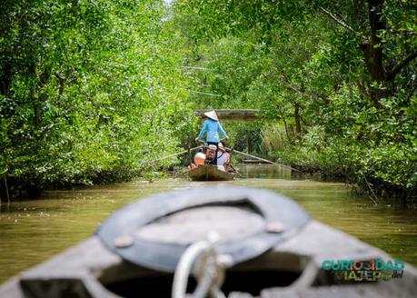 delta del mekong