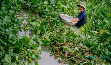 Delta del Mekong – ¿Con o Sin Tour?