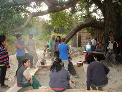 Nuevo conflicto entre propietarios y mapuches en el cerro Belvedere