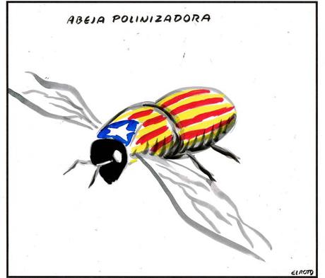 [HUMOR EN CÁPSULAS] Para hoy jueves, 25 de enero