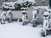nevada cada Tokyo