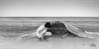 MIL VERSOS A LA DERIVA VAN